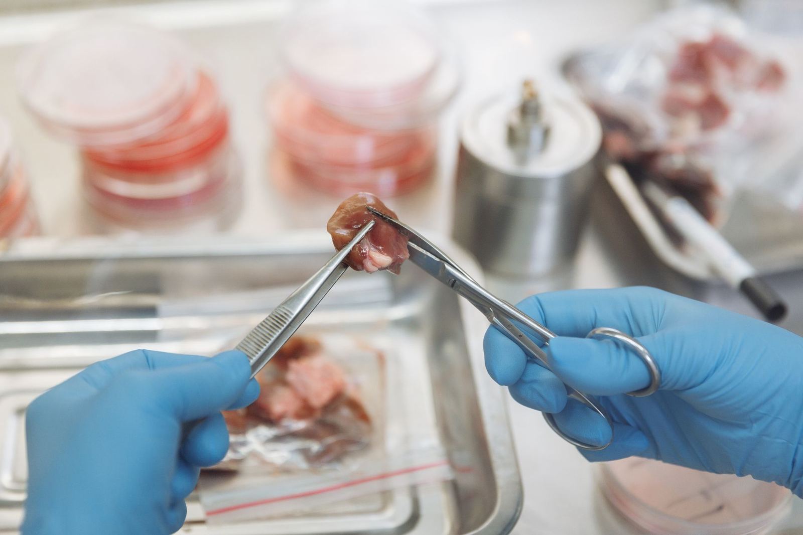 Microbiological Analysis in Food: Which Tests and How Often?